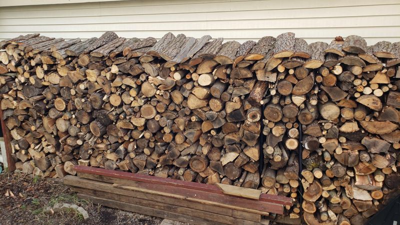 Wood Piles Give Mice Hidden Winter Cover Wood Piles Give Mice Hidden Winter Cover