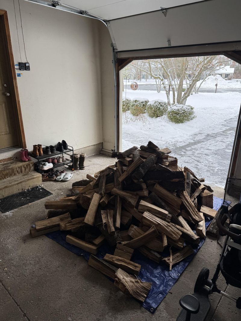 Woodpiles Create Convenient Hiding Places