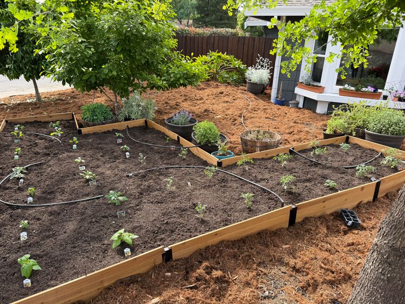 Work In Compost Before Fall Planting Work In Compost Before Fall Planting