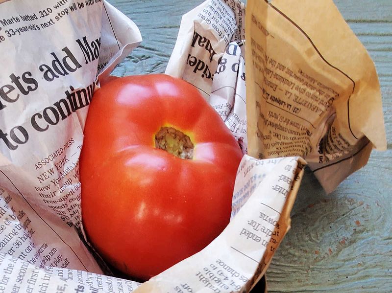 Wrap Tomatoes In Paper For Faster Ripening