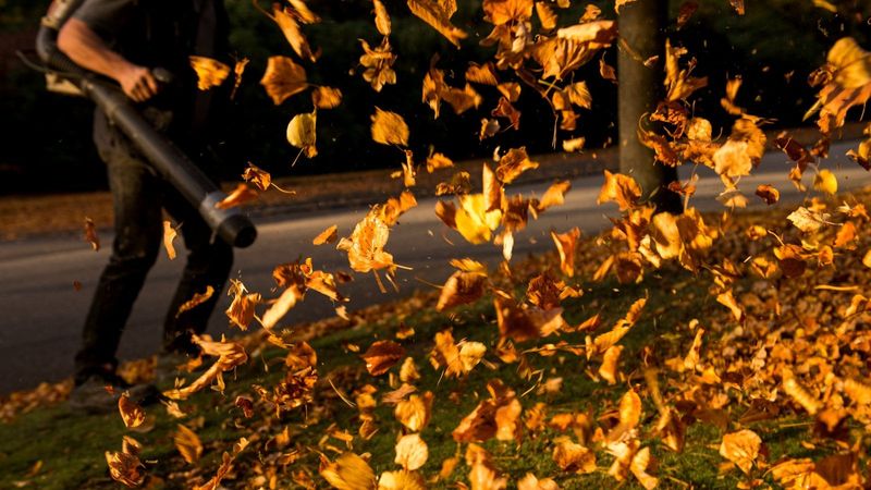 Yard Cleanup Schedule Shifts This Year Yard Cleanup Schedule Shifts This Year