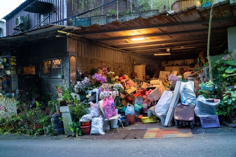 Yard Clutter Creates Ideal Breeding Conditions