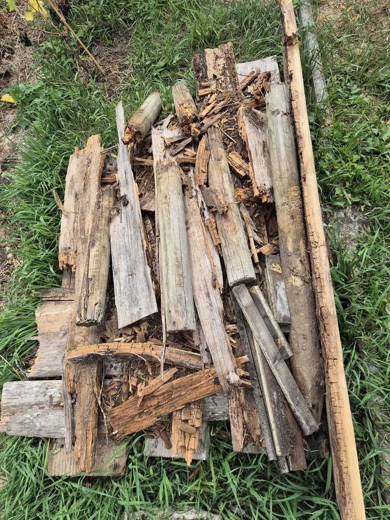 Yard Clutter Creates Perfect Hiding Spots Yard Clutter Creates Perfect Hiding Spots