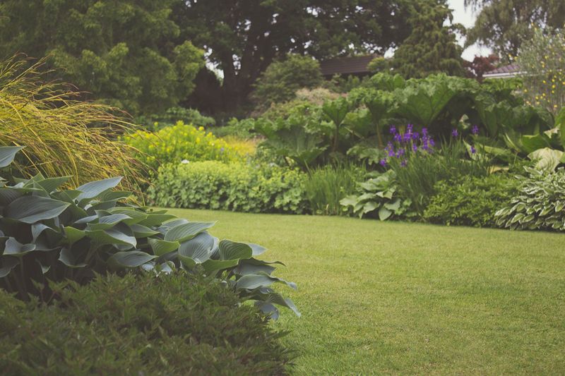 Yard Habits That Keep Next Year Balanced Yard Habits That Keep Next Year Balanced