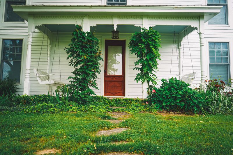 Yard Habits That Make Your Property Less Inviting