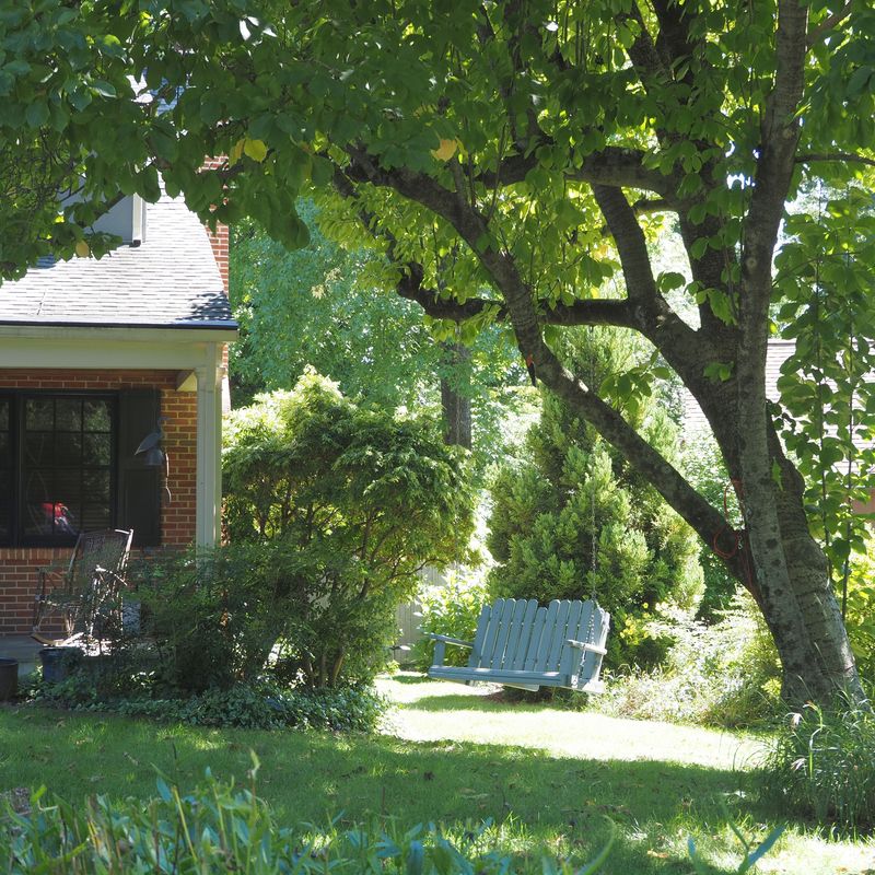 Yard Habits That Quietly Invite Them In