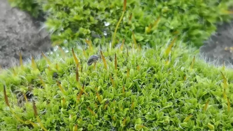 Yard Upkeep And Tight Seals For A Calmer Next Fall