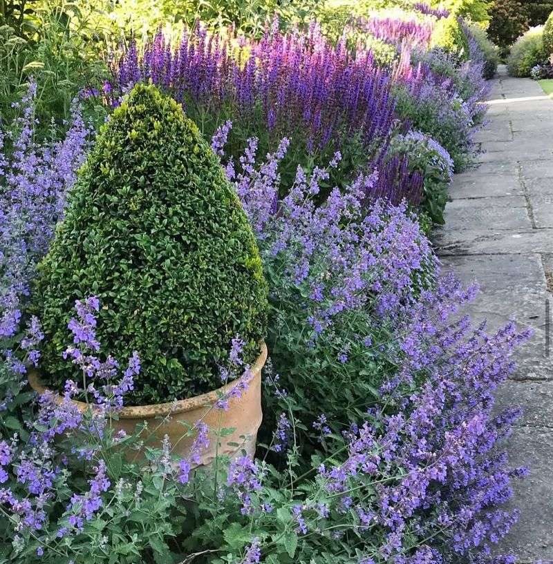 Year After Year Results And Long Term Bug Control Year After Year Results And Long Term Bug Control