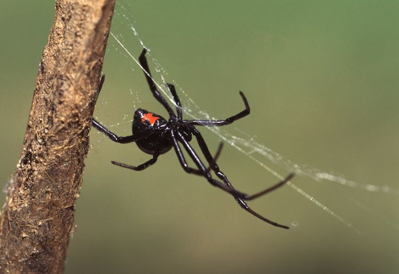 You Should Check Dark Outdoor Areas