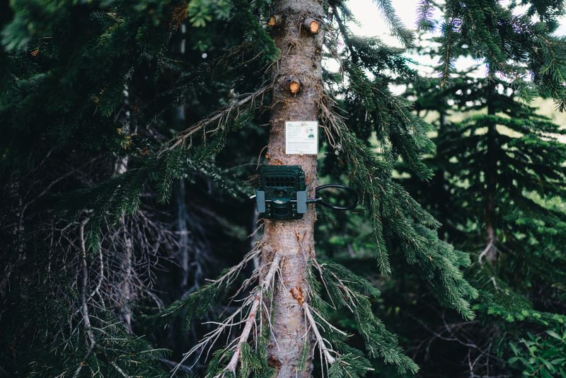Your Backyard Can Join The Search