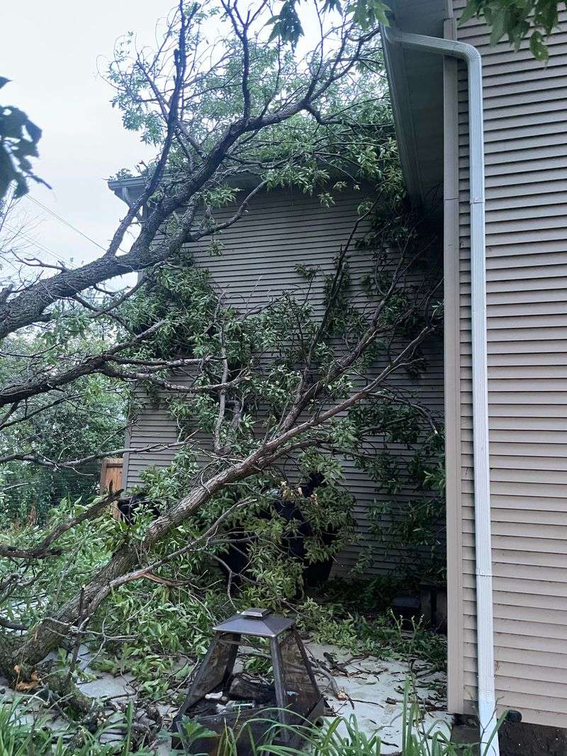 Your Homeowners Insurance Usually Handles The Damage