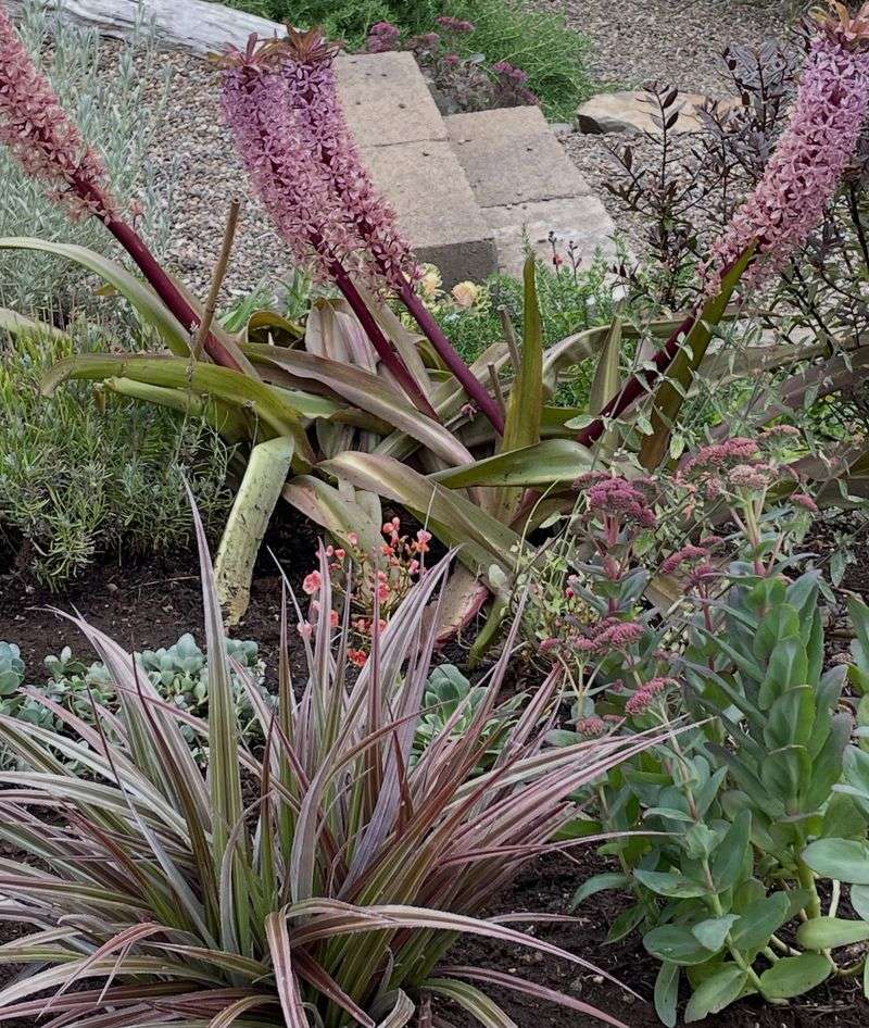Your Oregon region and cultivar change the winter plan