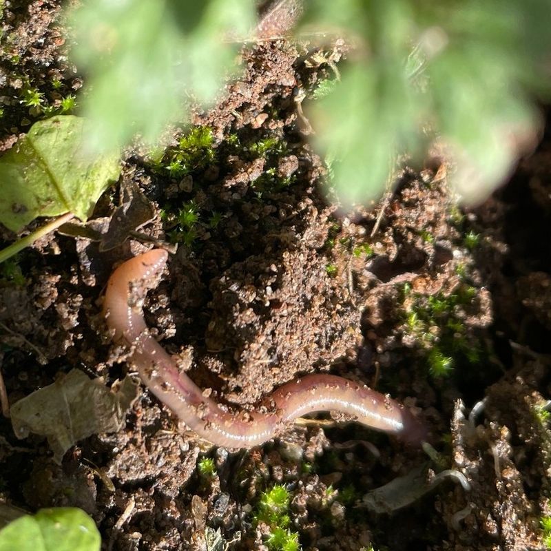 Your Soil Is Moist And Nutrient-Rich Your Soil Is Moist And Nutrient-Rich