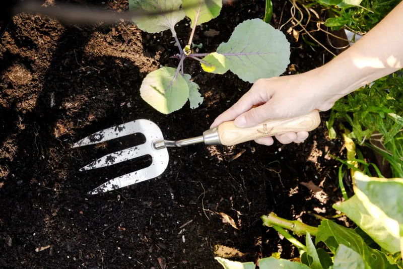 Your Soil Ran Out Of Nutrients Months Ago