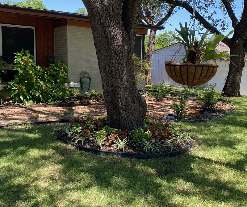 Your Yard May Be More Attractive Than Before Your Yard May Be More Attractive Than Before