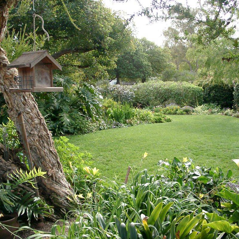 Your Yard May Have Less Cover Than Nearby Areas Your Yard May Have Less Cover Than Nearby Areas