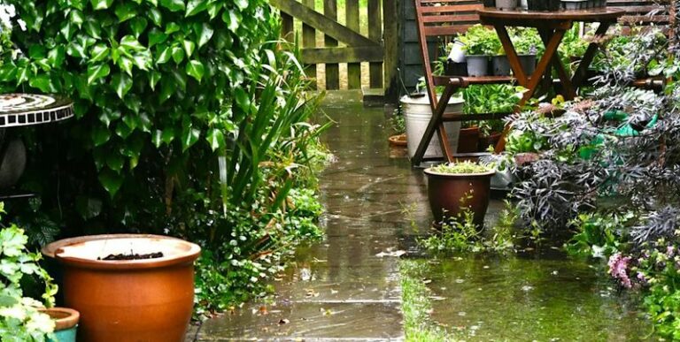 What Every Western Oregon Homeowner Should Do to Yards Before the Rainy Season Sets In