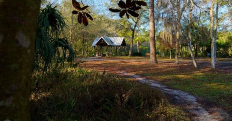 The Best Florida Arboretums And Gardens To See Fall Color This Year