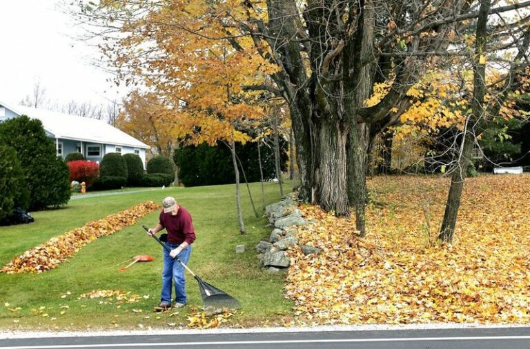 These 8 Fall Garden Chores Wisconsin Gardeners Tackle in September Save Hours of Spring Work