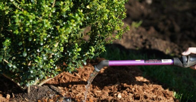 The September Planting Mistake That Causes Oregon Shrubs To Fail