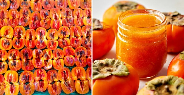 This Old Tennessee Weather Ritual Returns As Persimmon Trees Set Fruit