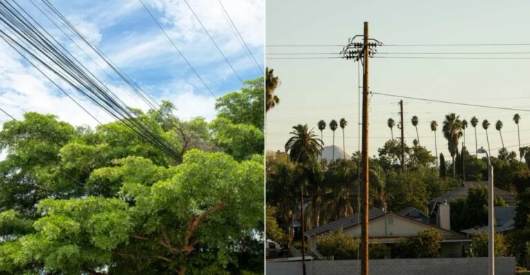 The Utility Company Vegetation Rules California Homeowners Don’t Know About Until They Get A Notice