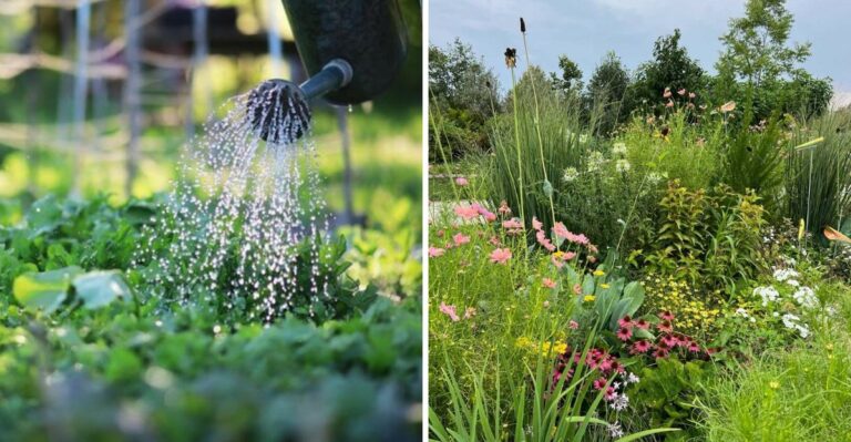 What Pennsylvania Gardeners Should Still Be Watering Deeply In September