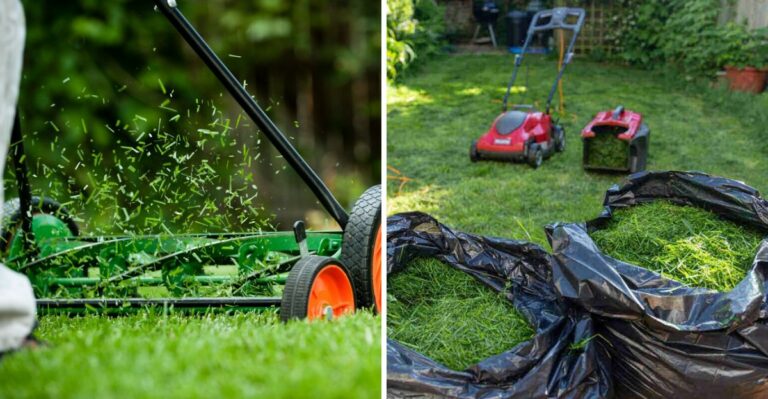 Don’t Bag Your Michigan Grass Clippings This Fall And Here’s Why