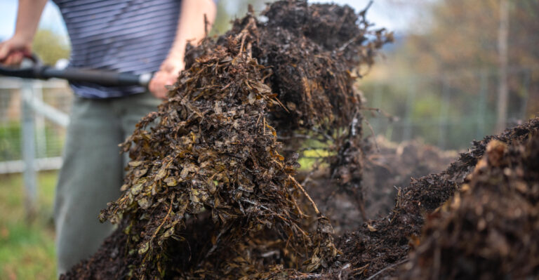 The One Thing You Must Do To North Carolina Compost Piles Before September Is Over