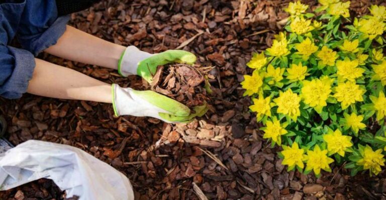 The 5-Minute Habit That Keeps Weeds From Taking Over Your Garden