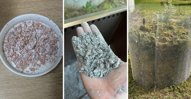 What Michigan Gardeners Bury In Their Soil To Improve It For Free