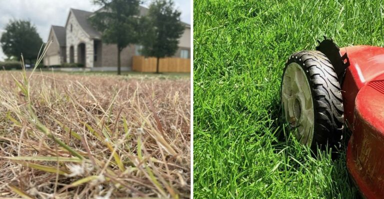 Georgia Warm Season Lawns Need This Mowing Adjustment Before Dormancy