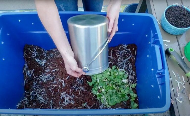 Turn your Wisconsin kitchen scraps into indoor compost all winter with a simple worm bin