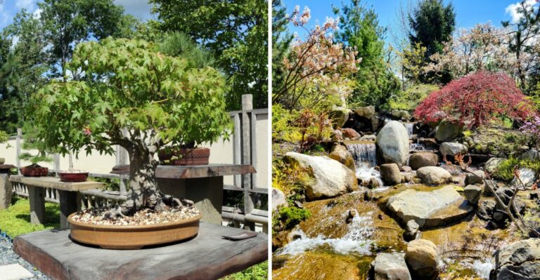 The Grand Rapids Garden Where Art And Nature Blend Like Nowhere Else In Michigan