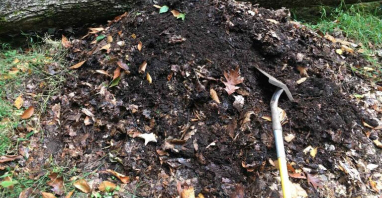What Happens When You Add Autumn Leaves To Michigan Garden Soil