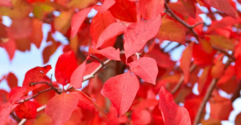 Something Is Already Changing Color In New Jersey Weeks Before Most People Start Looking