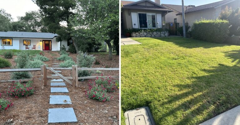What California Lawn Removal Rebates Usually Require Before You Start Digging