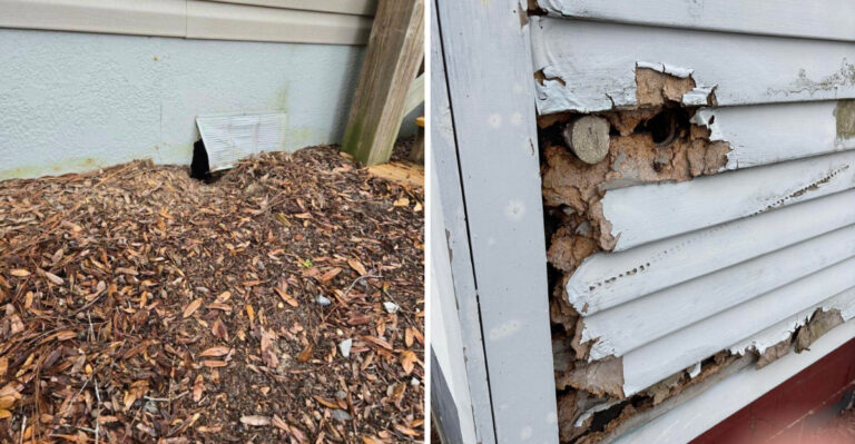 Why Michigan Gardeners Should Stop Piling Leaves Directly Against Foundation Beds