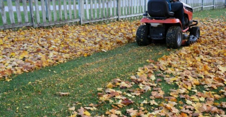 The Fall Landscaping Change That Could Put Ohio Homeowners At Odds With Their HOA