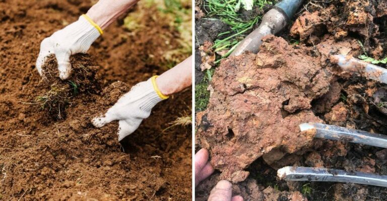 How To Prepare Virginia Piedmont Clay Soil Before Frost
