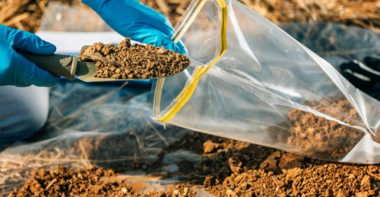 Missouri’s Soil Test Results Matter More In Fall Than In Spring
