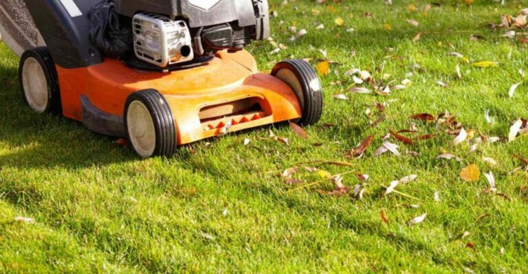 Why Michigan Homeowners Should Stop Cutting Grass Too Short Before Winter