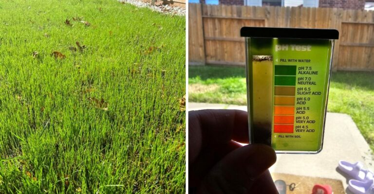Stop Fertilizing North Carolina Lawns This Way Before The First Frost