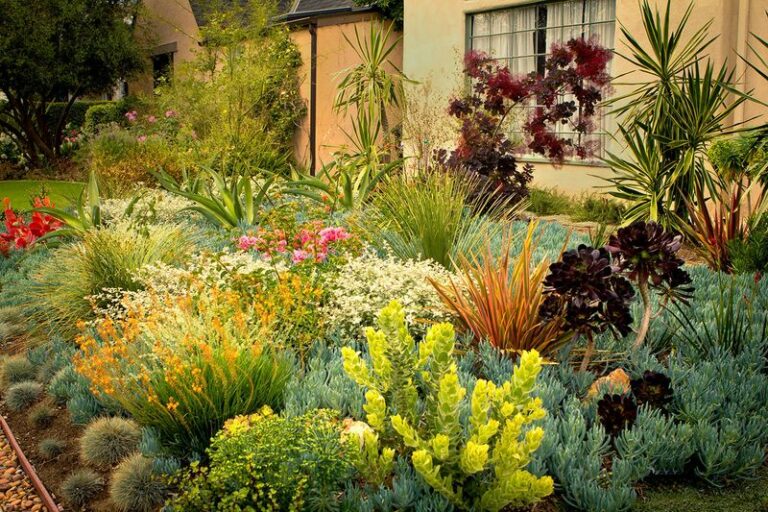 Turn A Plain Arizona Lawn Into A Colorful Low-Water Flower Border That Beats The Heat