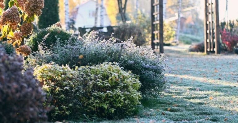 North Ohio Gardeners Should Start Watching Overnight Temperatures Earlier Than They Think