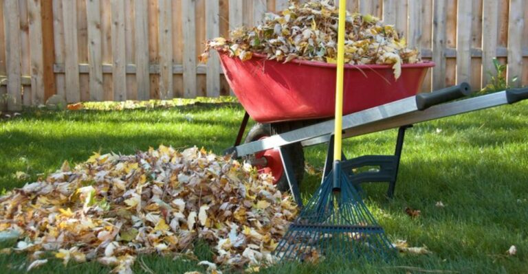 leaf pile next to a wheelbarrow and a leaf rake