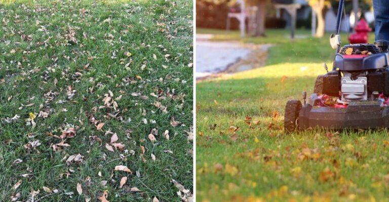 Can You Mow Over Leaves In Your Michigan Yard? Here’s What To Know