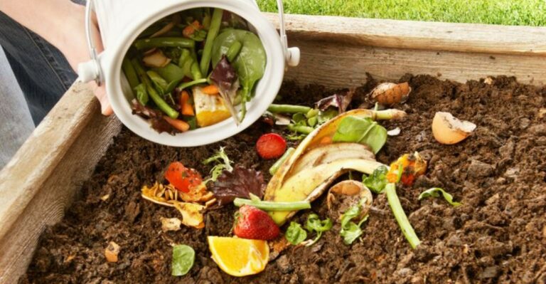 12 Things You Should Keep Out of Your Compost Pile This Fall