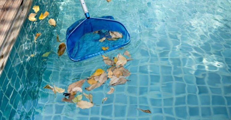 Can A California Neighbor Make You Remove A Tree Dropping Leaves In Their Pool?