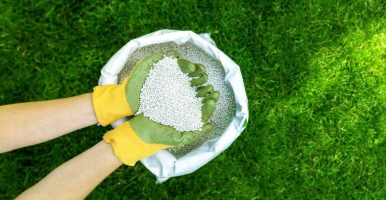 Why Alabama Lawns Need A Final Nitrogen Boost Before The Season Changes